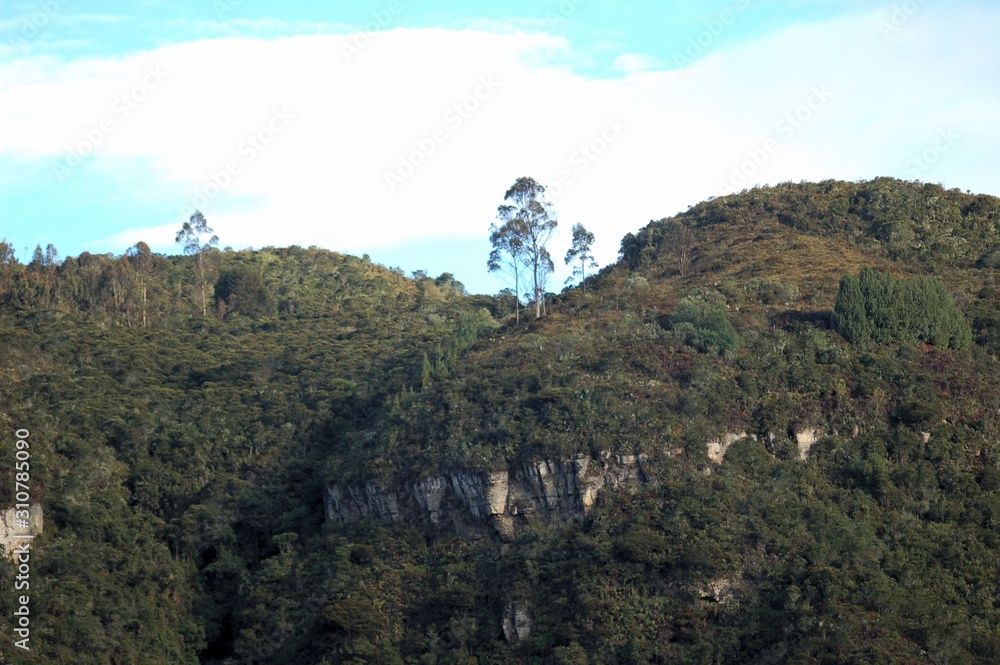 naturaleza colombiana