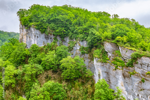 Rocky cliff in dense green forest. Mountain forest
