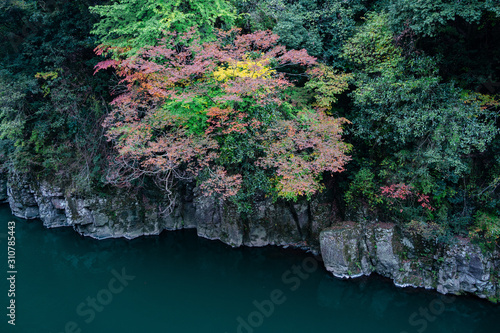 渓谷の紅葉