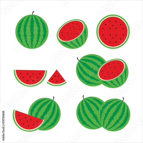 Watermelon Slice Vector Set Design Illustration