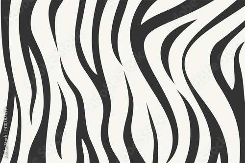 wild zebra texture