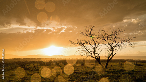 Canvas Print Clouds building during storm as sun peaks out from behind the clouds lighting up rain drops on lens with lone tree in field