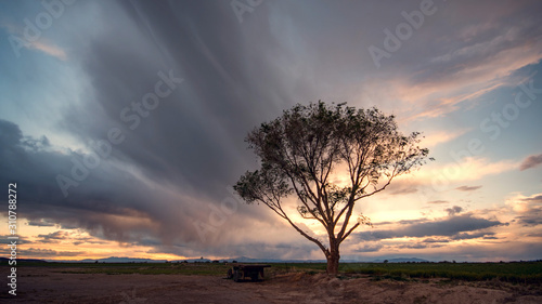 Tableau sur toile Tree silhouetted against the sky with dramatic clouds at sunset.