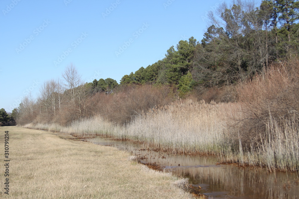Sahara Woods Illinois 2019 I Sahara Woods Illinois 2019 I