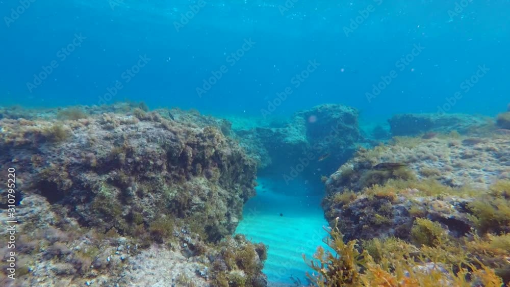 Underwater shooting off the coast of the island of Cyprus. Fish swim over a beautiful bottom in the blue water of the Mediterranean Sea. Underwater shooting off the coast of the island of Cyprus. Fish swim over a beautiful bottom in the blue water of the Mediterranean Sea.