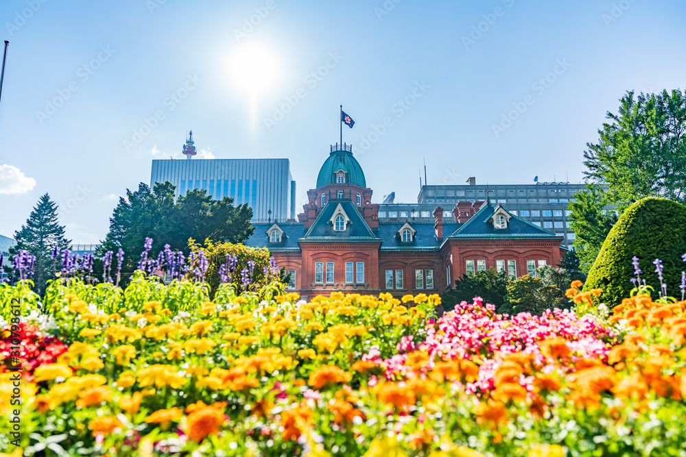 北海道の夏 赤れんが庁舎 北海道庁旧本庁舎 Stock Photo Adobe Stock
