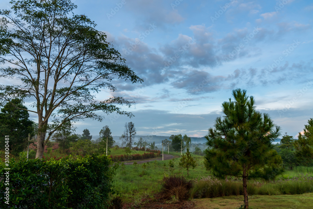 Obraz premium beautiful blue sky high peak mountains mist fog wildlife green forest at Khao Koh, Phu Tub Berk, Phetchabun, Thailand guiding idea long weekend for backpacker camping campfire relaxing hiking