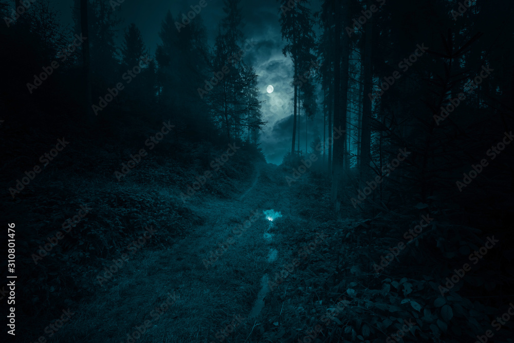 Footpath in the dark, foggy, mysterious forest. Full moon on the sky with reflection in the puddle on trail at spruce mystery night forest. Halloween backdrop