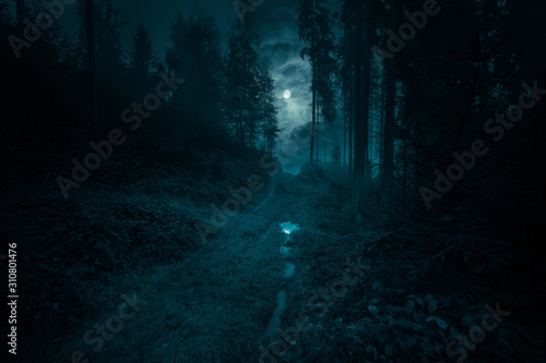 Footpath in the dark, foggy, mysterious forest. Full moon on the sky with reflection in the puddle on trail at spruce mystery night forest. Halloween backdrop