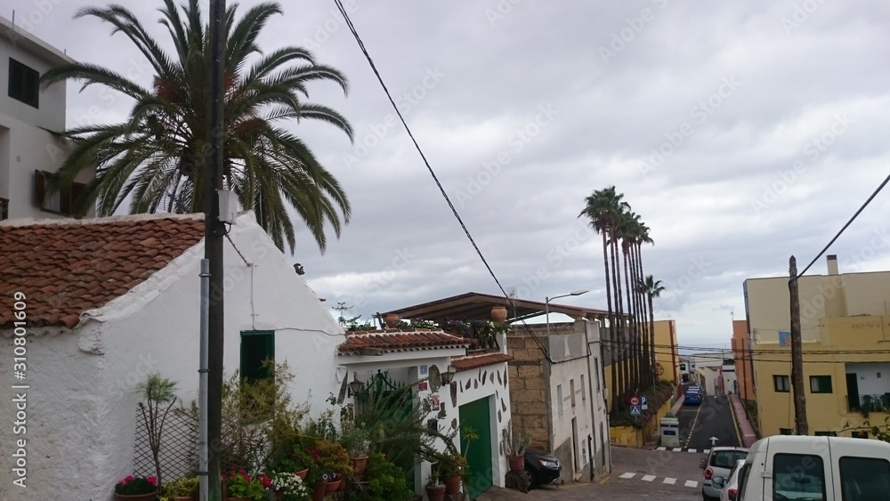 Tenerife - Arona - Canary Islands - Teneryfa