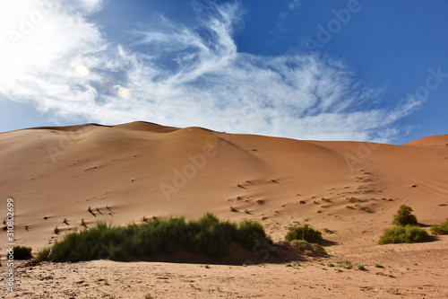  Merzouga Erg Chebbi dunes, Morocco