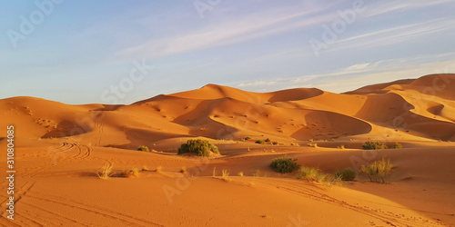Merzouga Erg Chebbi dunes  Morocco