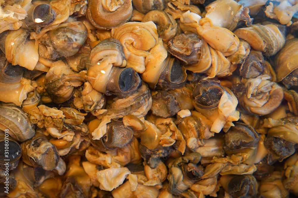 Amazing food golden apple snail in the street market Thailand. Amazing food golden apple snail in the street market Thailand.