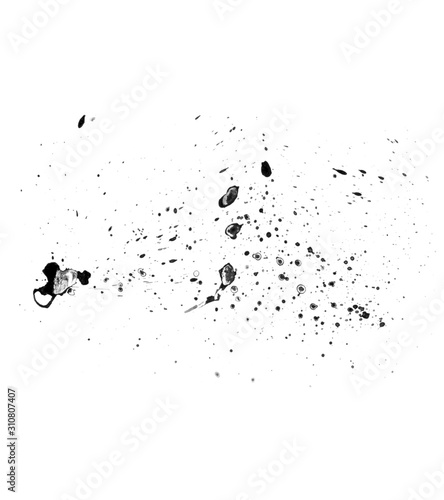 Black ink spray brush isolated on white background. Black ink drops brush