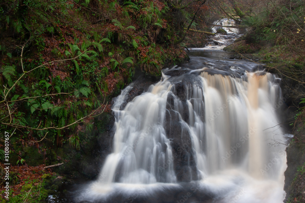 Fototapeta premium forest waterfall and rocks covered with moss Northen Ireland