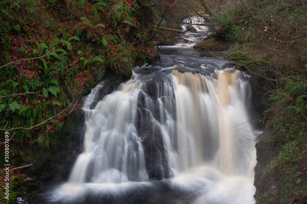 forest waterfall and rocks covered with moss Northen Ireland