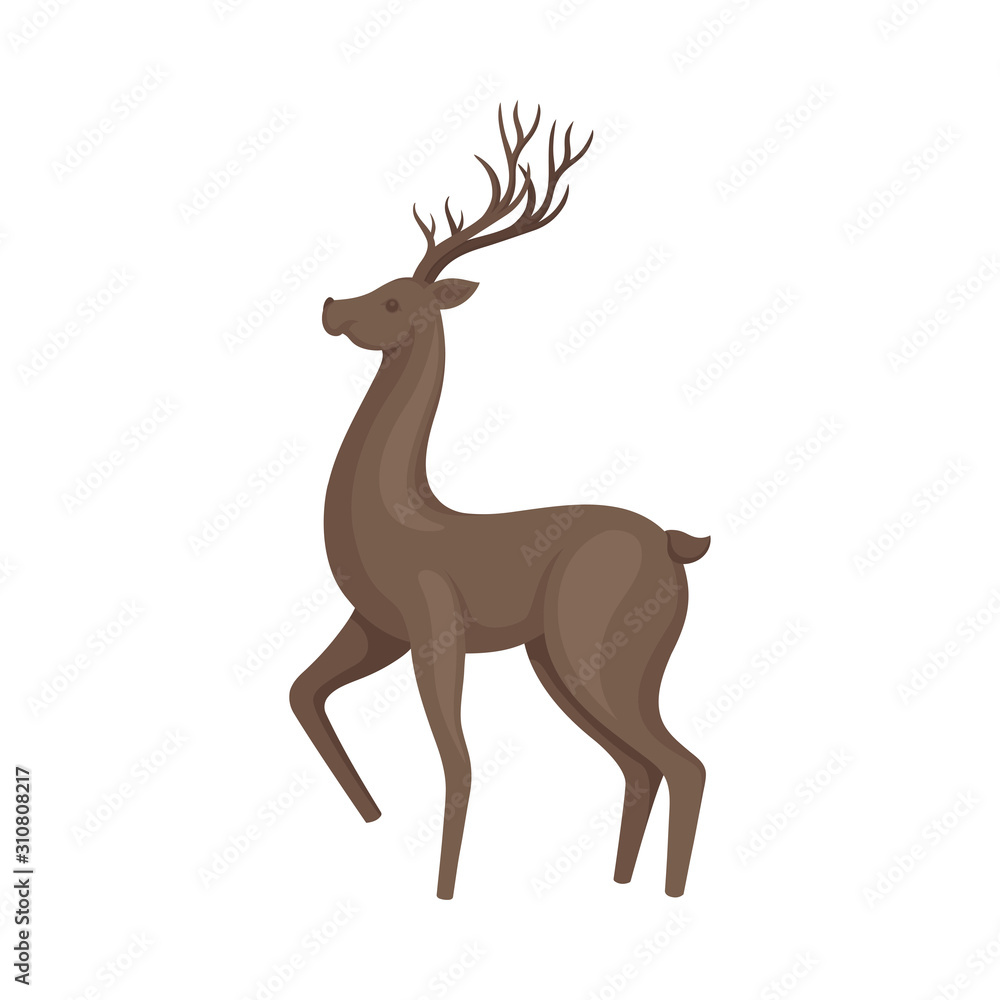 Brown Deer Animal in Standing Pose Vector Illustration Brown Deer Animal in Standing Pose Vector Illustration
