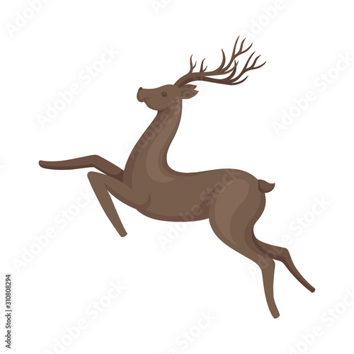 Brown Deer Animal in Running Pose Vector Illustration © Happypictures