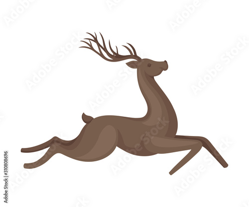 Forest Graceful Deer with Antlers in Running Pose Vector Illustration. Wildlife of Forest Mammals Concept © Happypictures