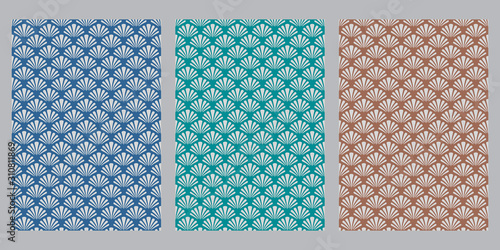 Japanese sea shell abstract background