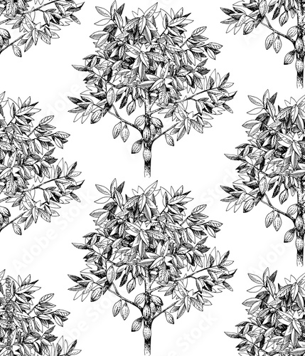 Seamless pattern with hand drawn cocoa trees