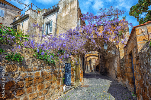 Fototapeta Naklejka Na Ścianę i Meble -  Historical street with blooming wisteria flowers, Orvieto, Italy