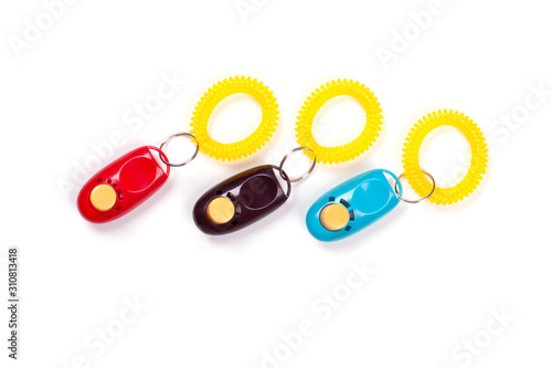 Some colorful clickers for traning dog with positive reinforcement. Flat lay. Place for text.