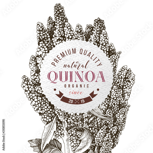 Round emblem with hand drawn quinoa