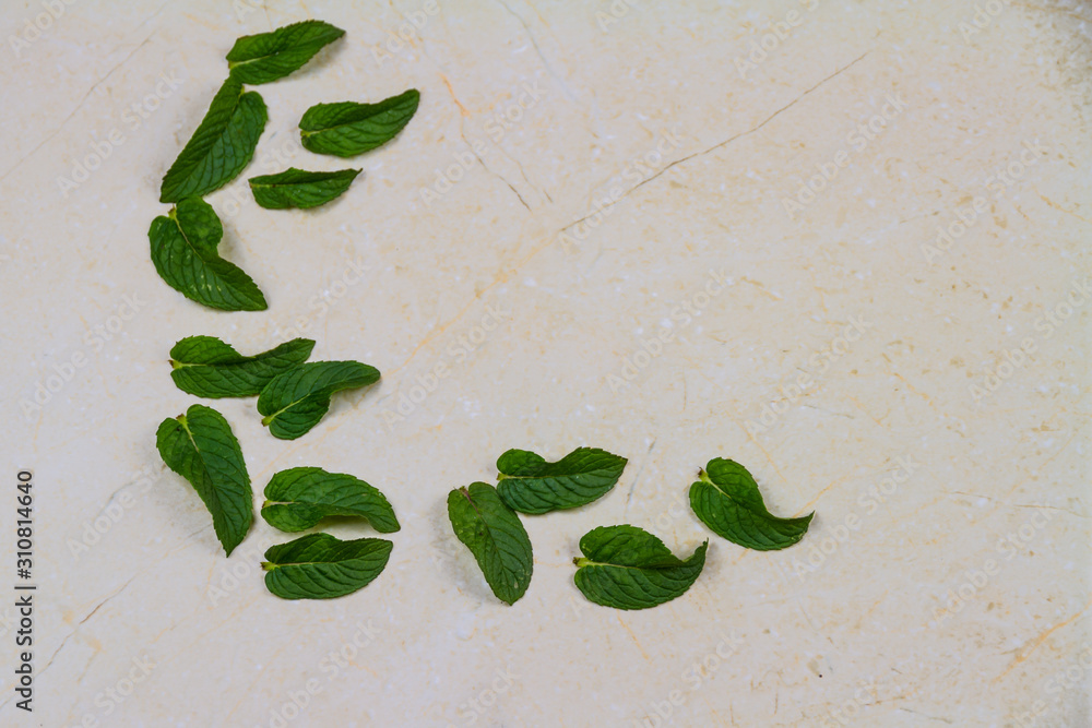 Mint leaves in L shape on marble background. Stock Photo