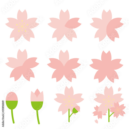 桜　開花状況　予測
