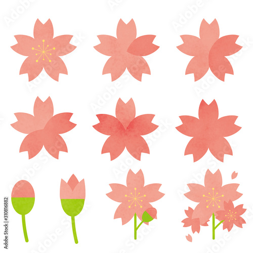 Wallpaper Mural 桜　開花状況　予測　水彩風 Torontodigital.ca