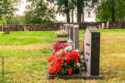 Row of gravestones with beautiful flowers