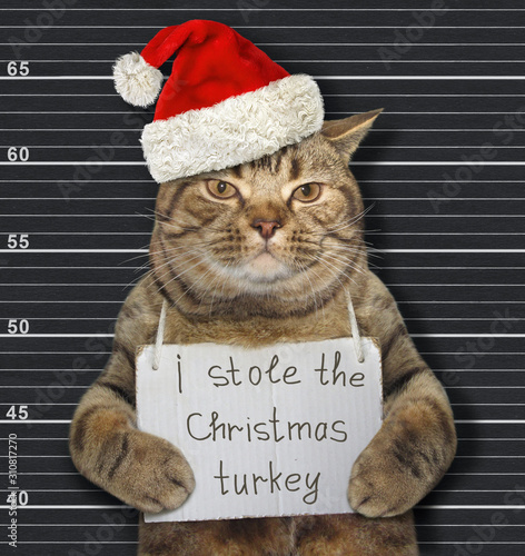 The beige cat in a red Santa Claus hat with a banner on his neck that says I stole the Christmas turkey is in a prison. Black lineup background.