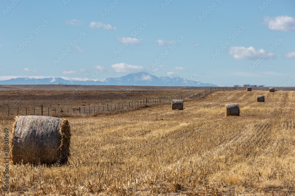 Fototapeta premium bales of hay