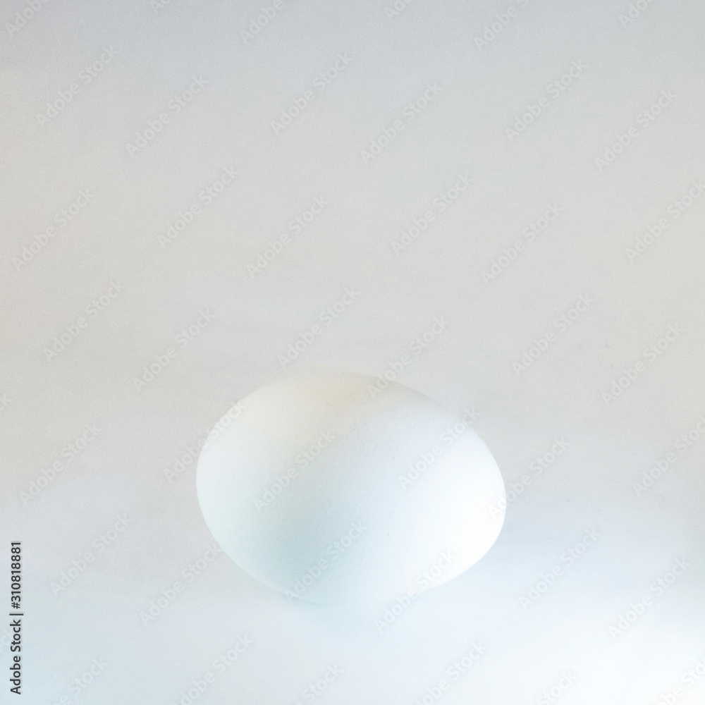 Chicken egg isolated on white background. Close-up of one chicken egg isolated on white background. White Egg. High key Chicken egg isolated on white background. Close-up of one chicken egg isolated on white background. White Egg. High key