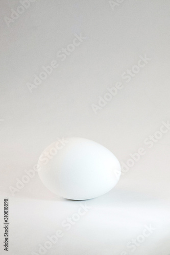 Chicken egg isolated on white background. Close-up of one chicken egg isolated on white background. White Egg. High key