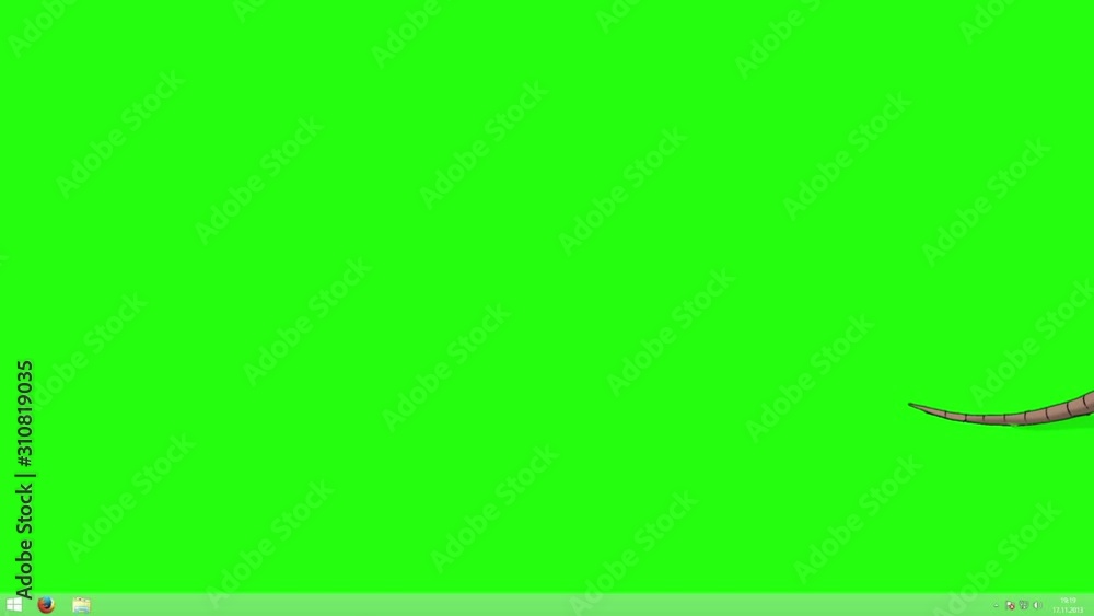 White Rat Walks animation Chroma Key White Rat Walks animation Chroma Key