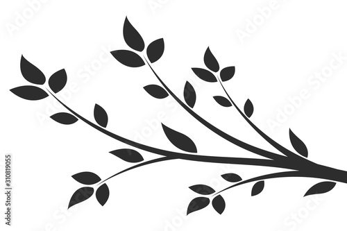 Silhouette of a branch with leaves. Young flowering tree. Sapling. © flexelf