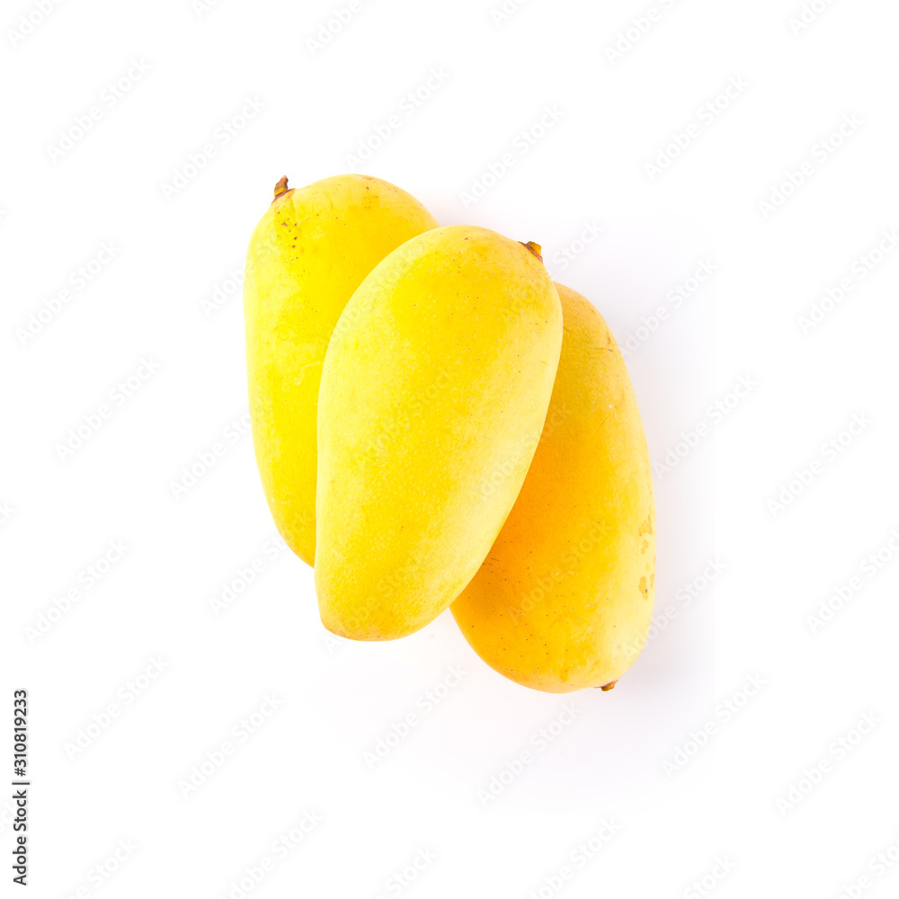 mangos or yellow mangos on a background new.