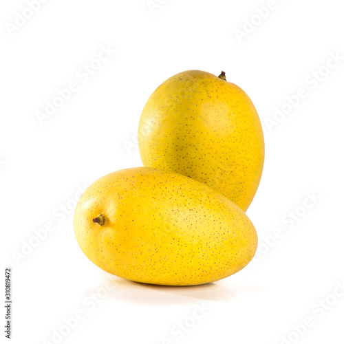 mangos or yellow mangos on a background new.