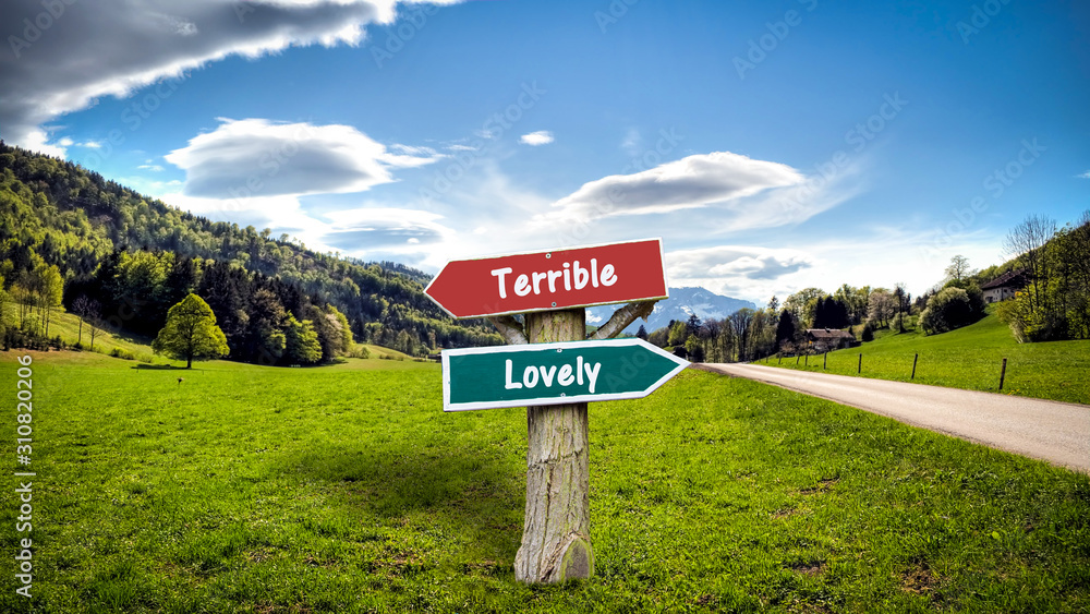 Street Sign to Lovely versus Terrible Street Sign to Lovely versus Terrible