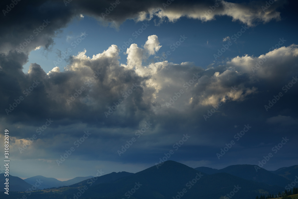 Sunset in carpathian mountains - beautiful summer landscape, spruces on hills, dark cloudy sky and bright sun light, meadow and wildflowers Sunset in carpathian mountains - beautiful summer landscape, spruces on hills, dark cloudy sky and bright sun light, meadow and wildflowers