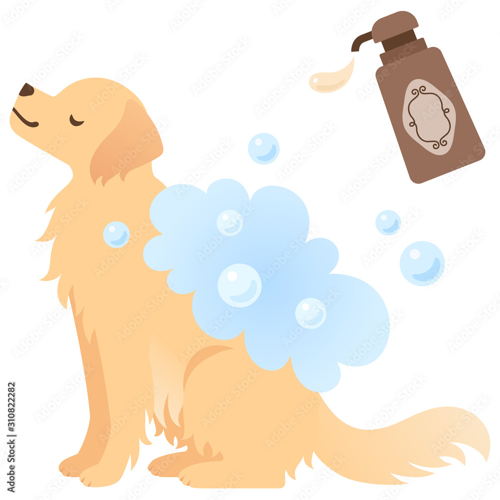 シャンプーで洗われる犬のイラスト Stock Vector Adobe Stock