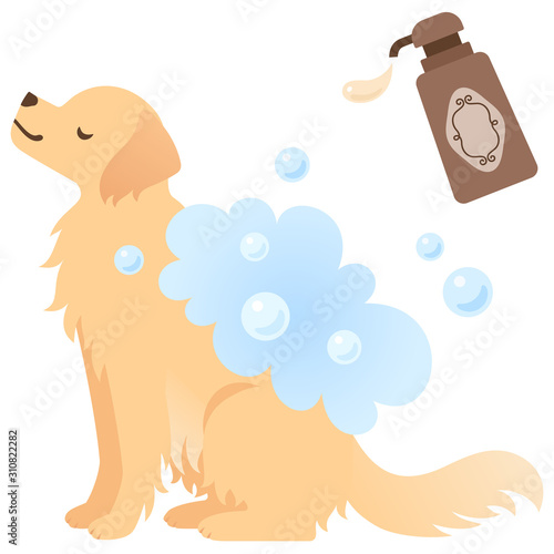 シャンプーで洗われる犬のイラスト