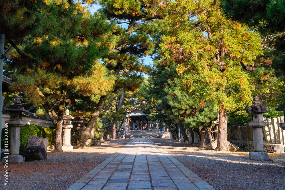 京都 御香宮神社 参道