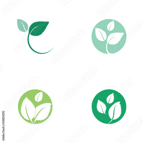 Set of Mint leaves flat vector color icon
