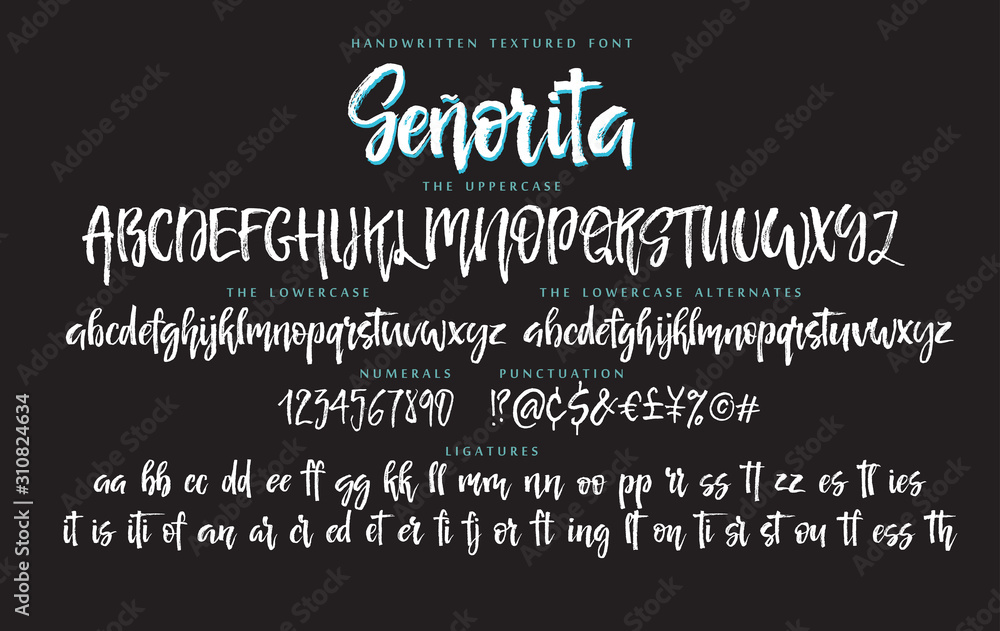 Vecteur Stock Handwritten script font vector alphabet Senorita set | Adobe  Stock