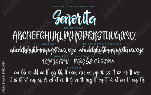 Handwritten script font vector alphabet Senorita set
