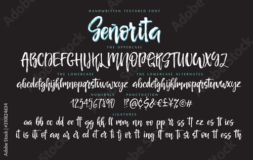 Handwritten script font vector alphabet Senorita set photo