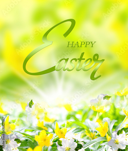 „Happy Easter“ - Easter card with yellow spring flowers 